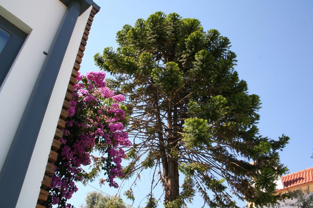 Vilaportuguesa Vila Velha de Rodao Exteriér fotografie